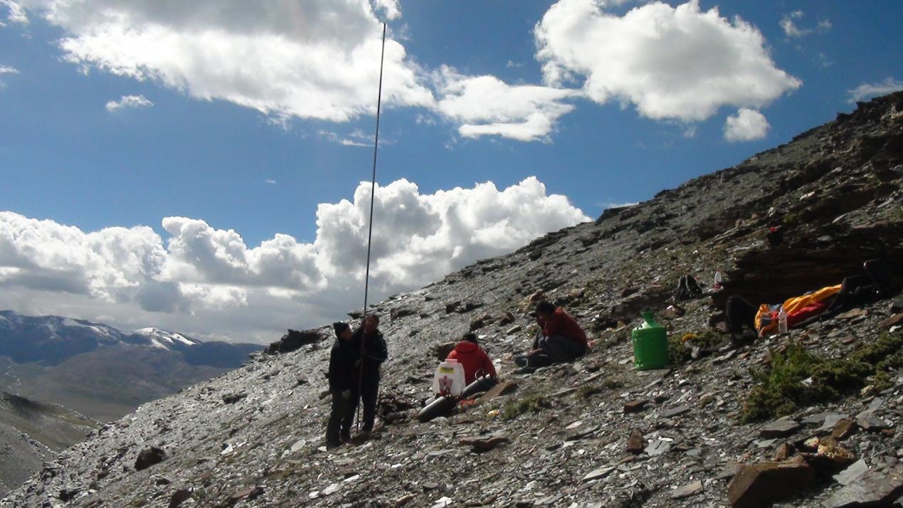 图片7.jpg 图片7.jpg