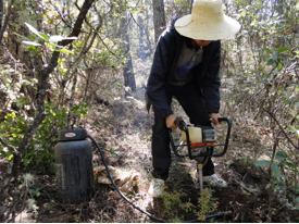 QQ截图20161220131313.png QQ截图20161220131313.png