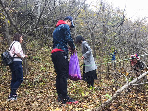 德严科技采摘2.jpg 德严科技采摘2.jpg