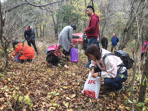 德严科技山楂采摘.jpg 德严科技山楂采摘.jpg