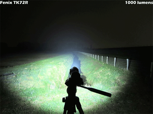 5ups81.gif 5ups81.gif