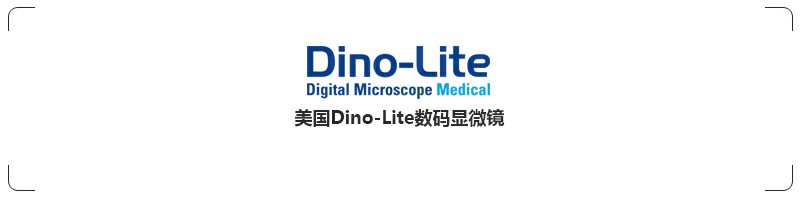 Dino-lite.jpg Dino-lite.jpg