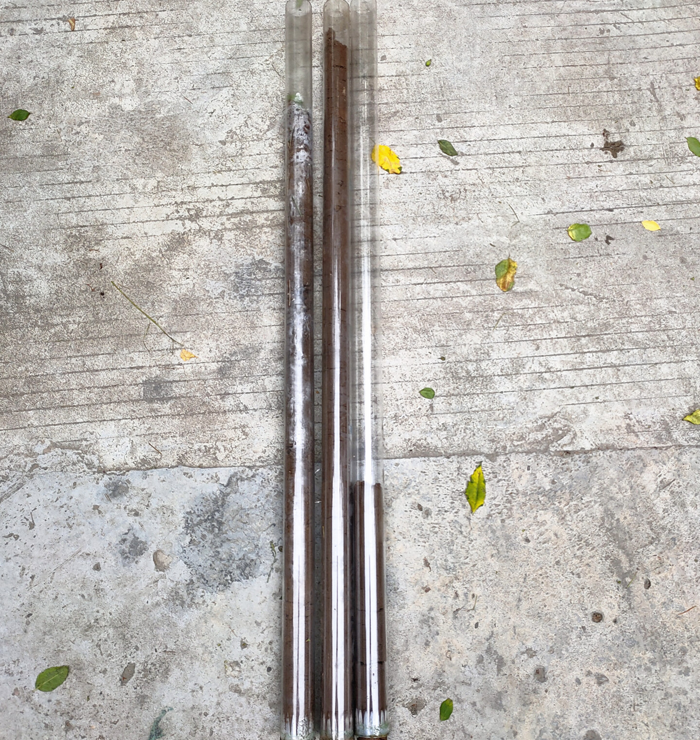 62e24e061ea5c8a00b648cafa3684dc.jpg 62e24e061ea5c8a00b648cafa3684dc.jpg