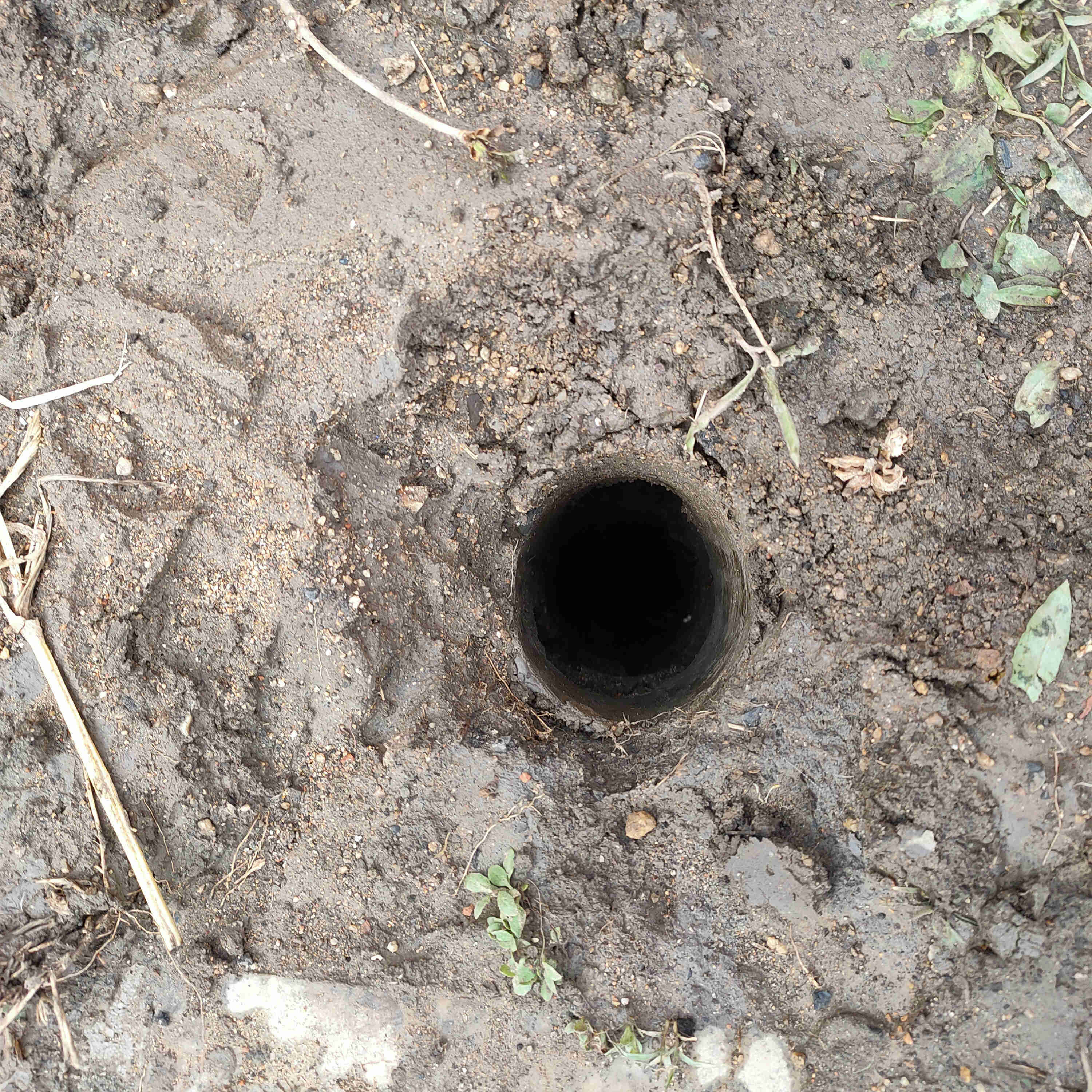 IMG20210426151008.jpg IMG20210426151008.jpg