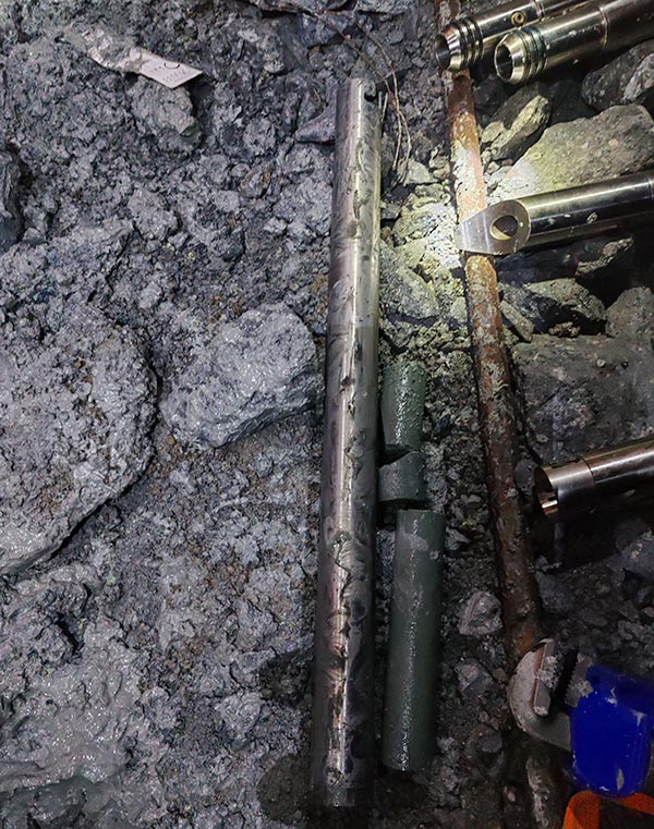 绍尔采集的岩心.jpg 绍尔采集的岩心.jpg