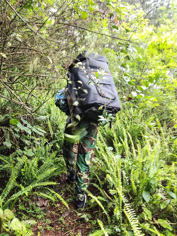 爬山3.jpg 爬山3.jpg