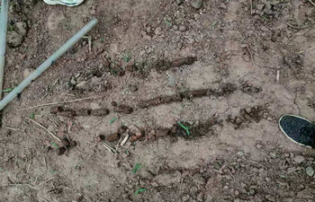 液压犀牛土壤取样钻机打孔演示 液压犀牛土壤取样钻机打孔演示