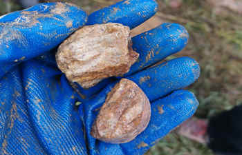 背包钻机演示培训 背包钻机演示培训